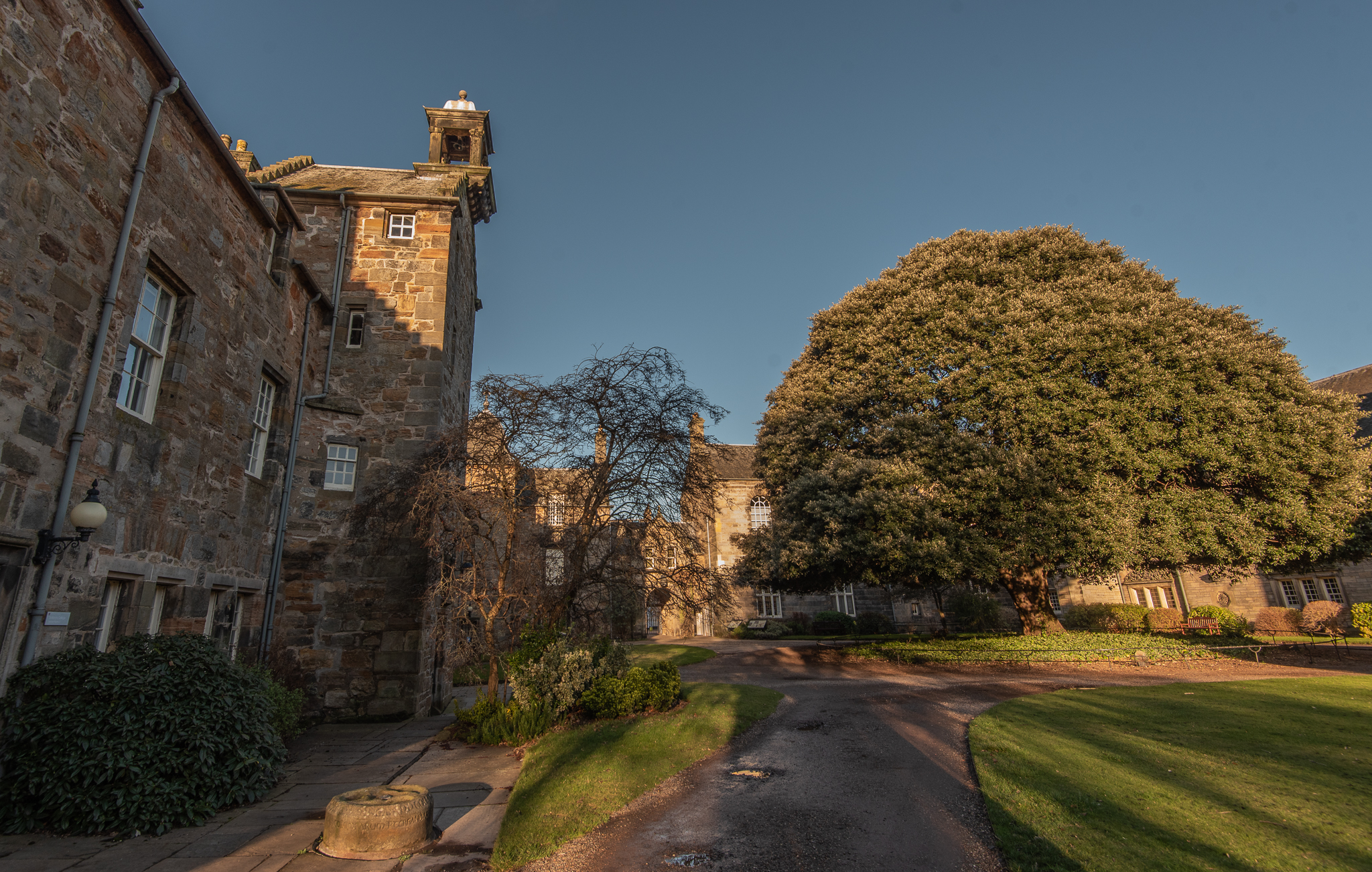 St Mary's Quad, including the Library, on a sunny morning